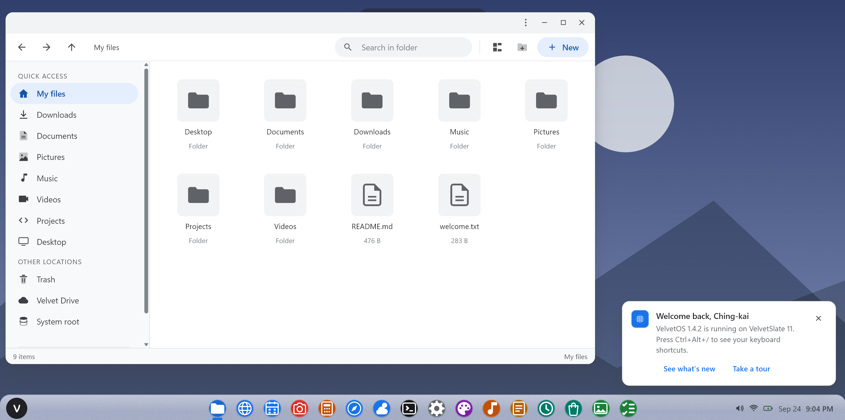 VelvetOS Demo preview